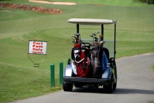 top 12 volt golf cart batteries reviews guide